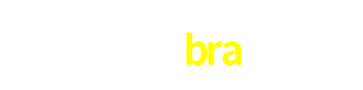 838bra.com